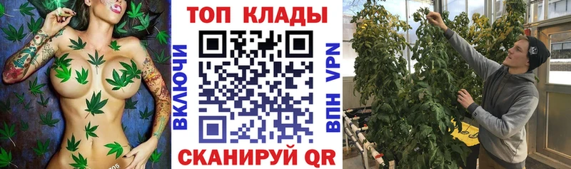 Магазин наркотиков Выборг Alpha-PVP  Меф мяу мяу  ГАШ  МАРИХУАНА  Амфетамин  КОКАИН 