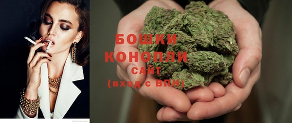 спиды Бородино