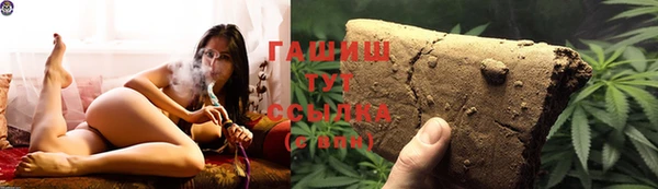 спиды Бородино