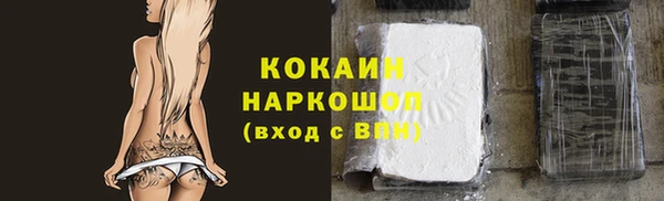 спиды Бородино