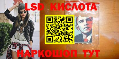 гашик Аргун