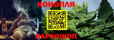 гашик Аргун
