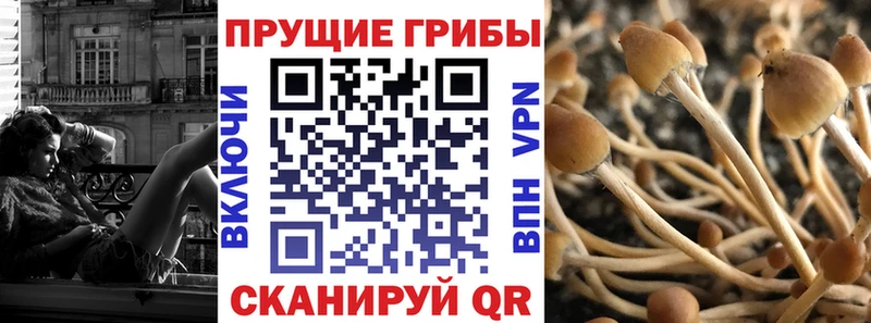 kraken зеркало  Выборг  Галлюциногенные грибы ЛСД  дарнет шоп 