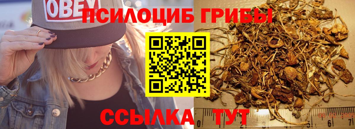 Псилоцибиновые грибы MAGIC MUSHROOMS Выборг